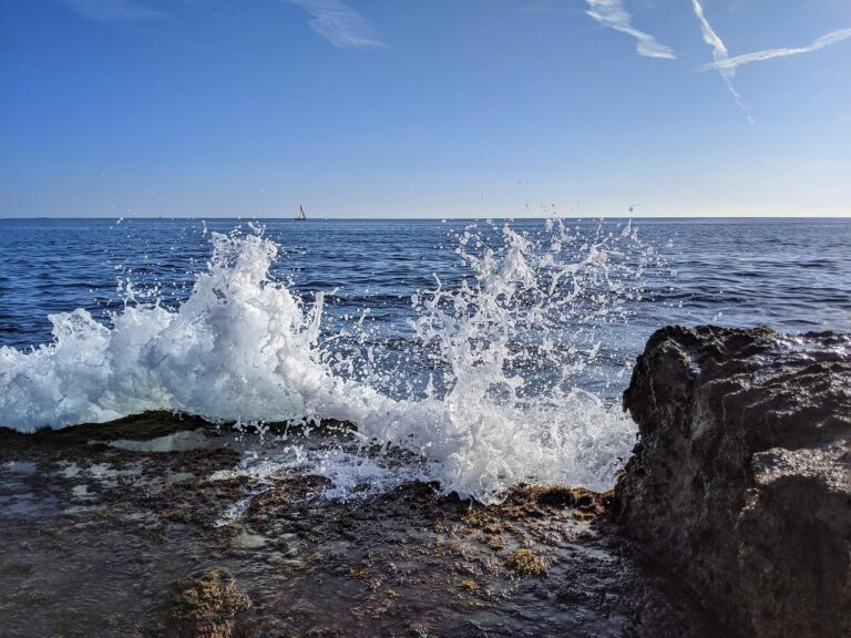 zzz, goa, hjk, goa, goa, goa, goa, goa, web design goa, web development goa, beach side pic goa